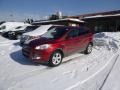 2015 Ruby Red Metallic Ford Escape SE 4WD  photo #1