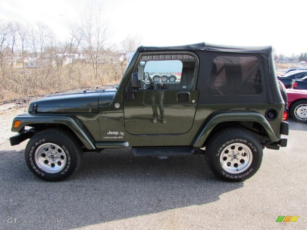 2006 Wrangler X 4x4 - Jeep Green Metallic / Dark Slate Gray photo #1