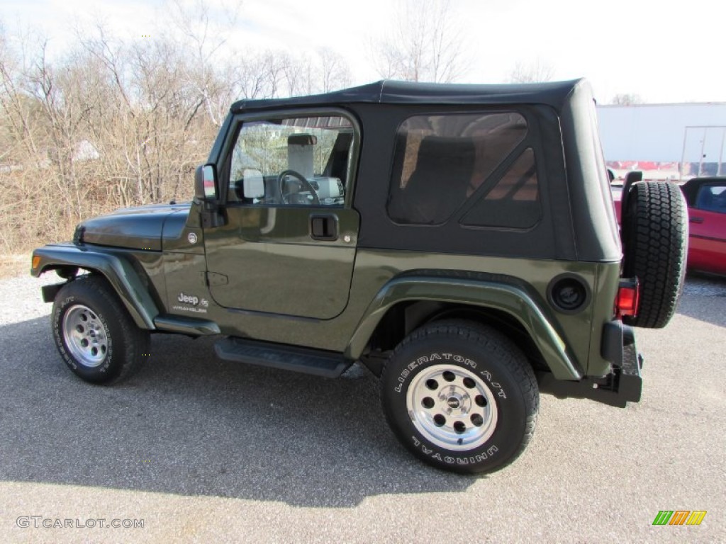 2006 Wrangler X 4x4 - Jeep Green Metallic / Dark Slate Gray photo #5