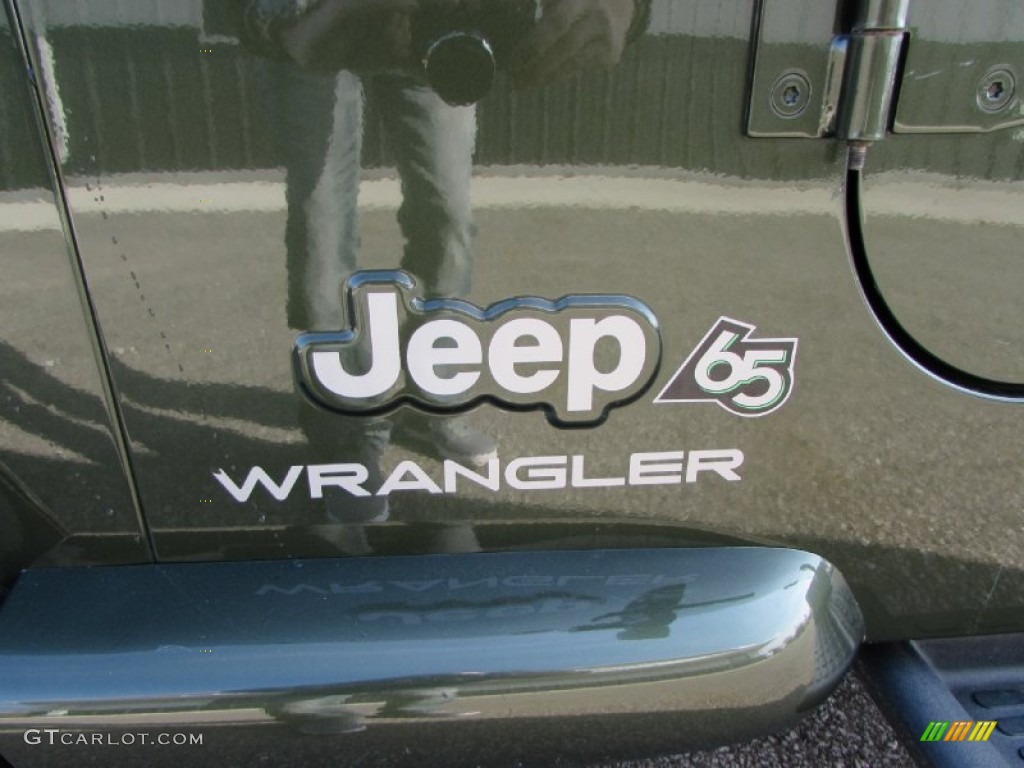 2006 Wrangler X 4x4 - Jeep Green Metallic / Dark Slate Gray photo #10