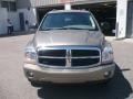 Light Khaki Metallic - Durango Limited 4x4 Photo No. 2