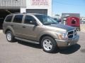 2006 Light Khaki Metallic Dodge Durango Limited 4x4  photo #3