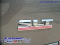 2006 Mineral Gray Metallic Dodge Ram 1500 SLT Quad Cab  photo #15