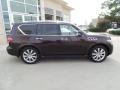 Dark Currant - QX 56 4WD Photo No. 12