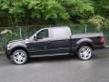 Black - F150 Harley-Davidson SuperCrew 4x4 Photo No. 3
