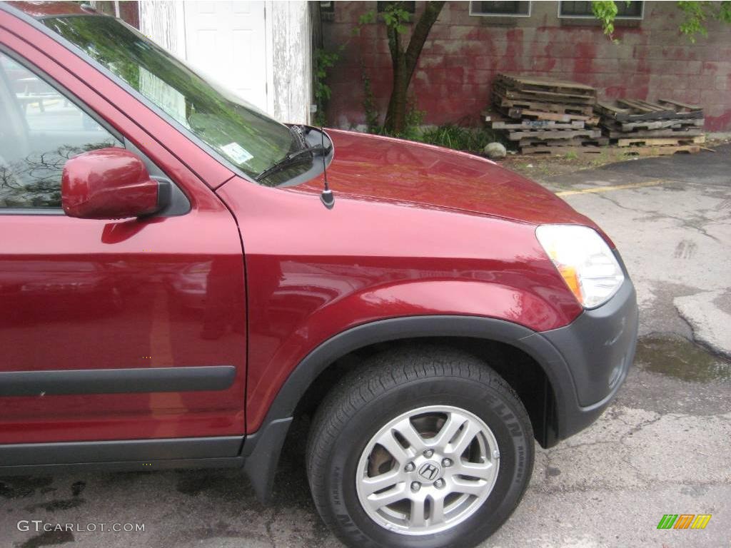 2003 CR-V EX 4WD - Chianti Red Pearl / Saddle photo #16
