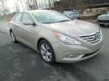 2011 Camel Pearl Hyundai Sonata Limited 2.0T  photo #4