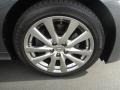 Nebula Gray Pearl - GS 350 Photo No. 15