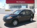 Ebony Black - Santa Fe GLS 4WD Photo No. 1