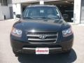 Ebony Black - Santa Fe GLS 4WD Photo No. 2