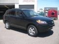 Ebony Black - Santa Fe GLS 4WD Photo No. 3