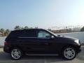 Black - ML 350 Photo No. 3