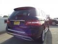 Black - ML 350 Photo No. 4