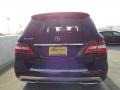 Black - ML 350 Photo No. 5