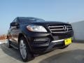 Black - ML 350 Photo No. 10