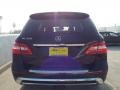 Black - ML 350 Photo No. 5