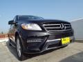 Black - ML 350 Photo No. 11