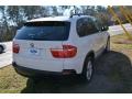 Alpine White - X5 3.0si Photo No. 3