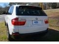 Alpine White - X5 3.0si Photo No. 5