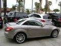 Pewter Metallic - SLK 350 Roadster Photo No. 2