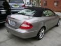 Pewter Metallic - CLK 350 Cabriolet Photo No. 3