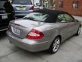 2007 Pewter Metallic Mercedes-Benz CLK 350 Cabriolet  photo #3