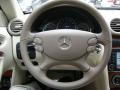 Pewter Metallic - CLK 350 Cabriolet Photo No. 12