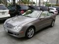 Pewter Metallic - CLK 350 Cabriolet Photo No. 18