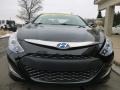 Black Onyx Pearl - Sonata Hybrid Photo No. 3