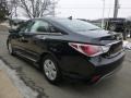 Black Onyx Pearl - Sonata Hybrid Photo No. 6