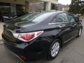 Black Onyx Pearl - Sonata Hybrid Photo No. 8