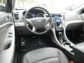 Black Onyx Pearl - Sonata Hybrid Photo No. 14