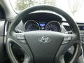 Black Onyx Pearl - Sonata Hybrid Photo No. 20