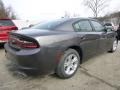 Granite Crystal Metallic - Charger SE Photo No. 4
