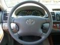 Phantom Gray Pearl - Camry XLE Photo No. 15