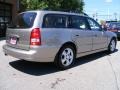 Pewter - L Series LW300 Wagon Photo No. 3