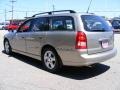 Pewter - L Series LW300 Wagon Photo No. 5