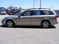 Pewter - L Series LW300 Wagon Photo No. 6