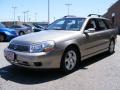 Pewter - L Series LW300 Wagon Photo No. 7