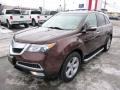 Dark Cherry Pearl 2010 Acura MDX Technology Exterior