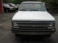 White - S10 Regular Cab Photo No. 18