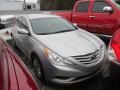 Radiant Silver - Sonata GLS Photo No. 2