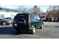 2004 Clover Green Pearl Honda CR-V EX 4WD  photo #5