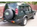 2001 Epsom Green Land Rover Discovery SE7  photo #5