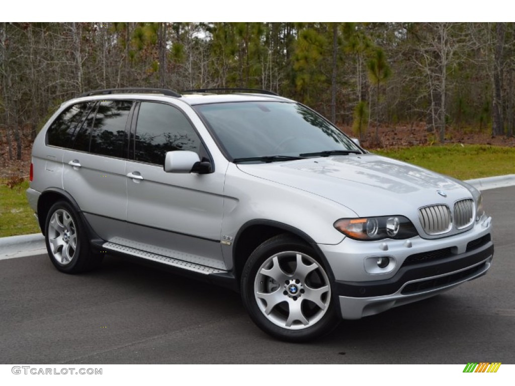 Titanium Silver Metallic 2004 BMW X5 4.8is Exterior Photo #101378091
