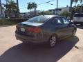 Platinum Gray Metallic - Jetta SE Sedan Photo No. 5