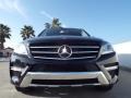 Black - ML 350 Photo No. 2