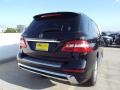 Black - ML 350 Photo No. 4