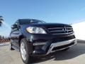 Black - ML 350 Photo No. 10
