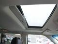 Ingot Silver - Flex Limited AWD Photo No. 9